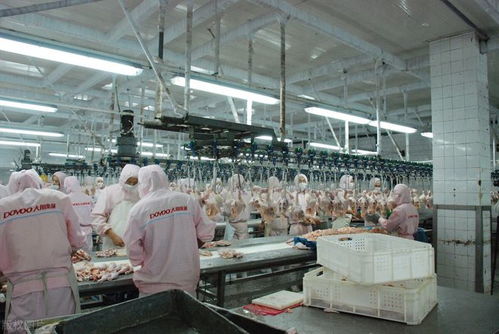 月薪近萬的工廠工作，為何搶不過日曬風吹的外賣騎手？——從“基礎電信業務”角度透視職業選擇變遷